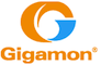 http://techfieldday.com/wp-content/uploads/2012/08/Gigamon.png http://techfieldday.com/wp-content/uploads/2012/08/Gigamon.png